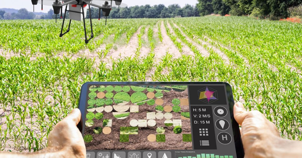 Máster en Agro 4.0 (2ª Edición)